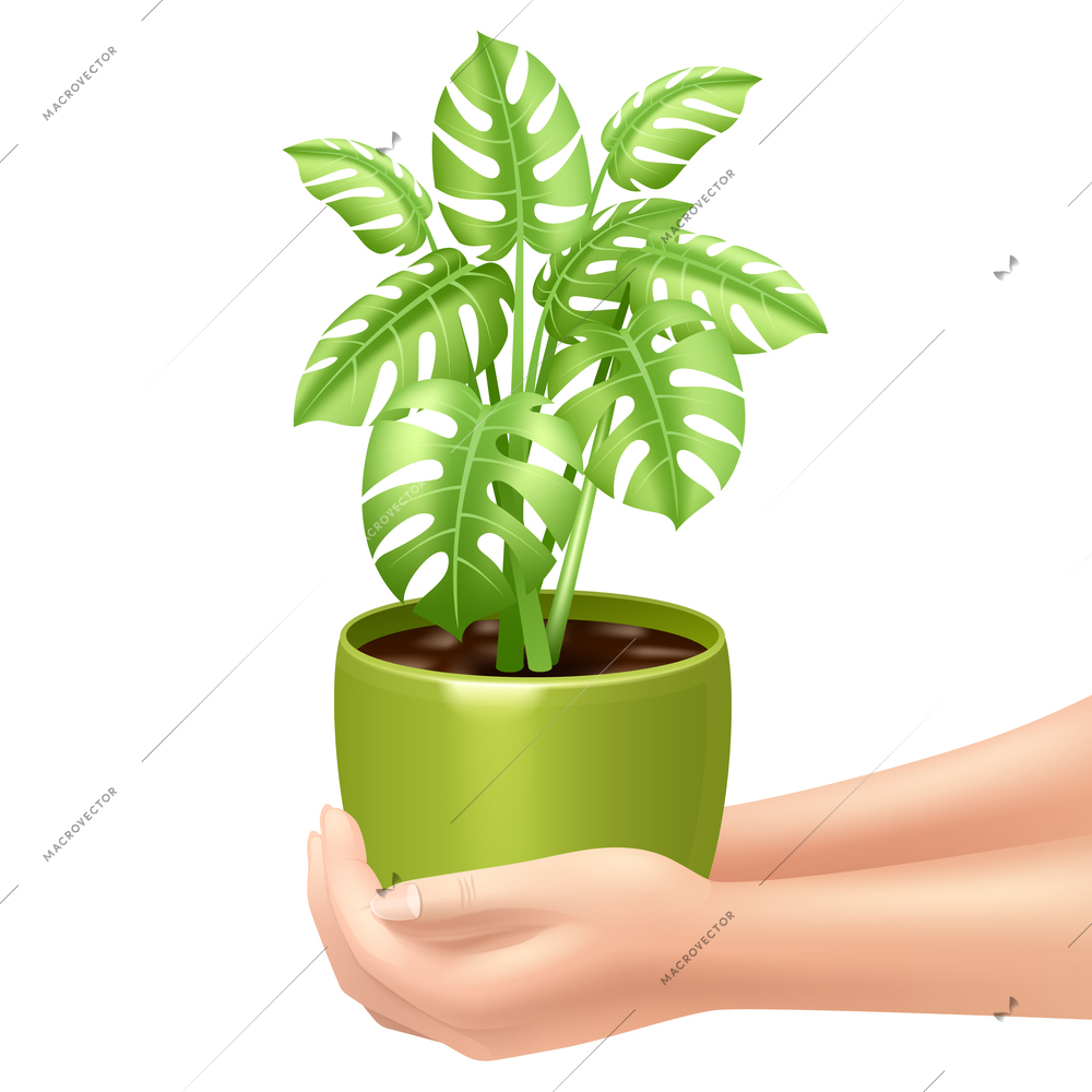 Woman holding a houseplant realistic vector illustration with hands and green pot