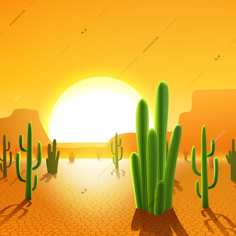 Cactus plants in mexican desert with rising sun on background vector illustration