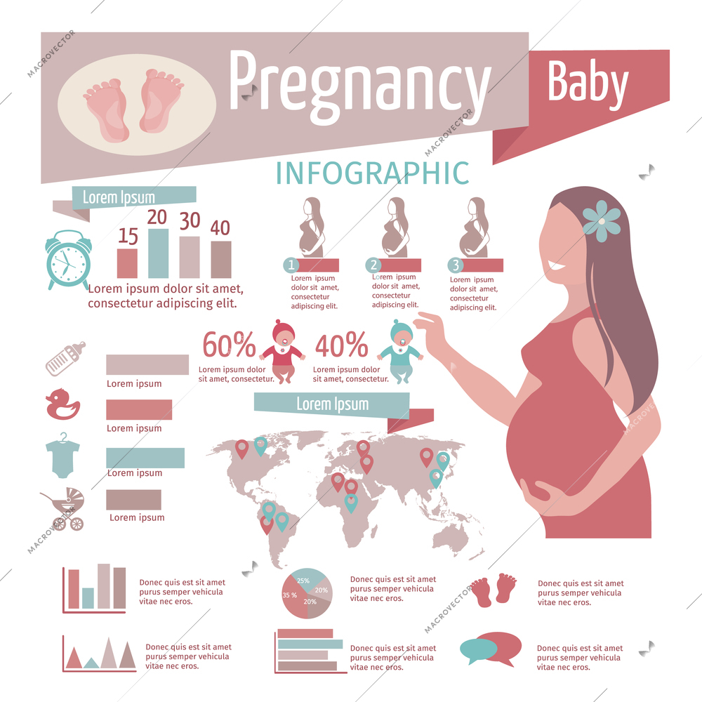 Pregnancy infographics set with reproduction symbols and charts vector illustration