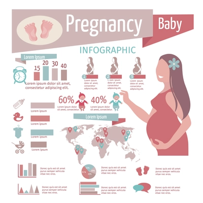 Pregnancy infographics set with reproduction symbols and charts vector illustration
