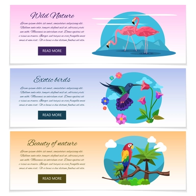Tropical bird banner horizontal set with pink flamingo colibri and parrot isolated vector illustration