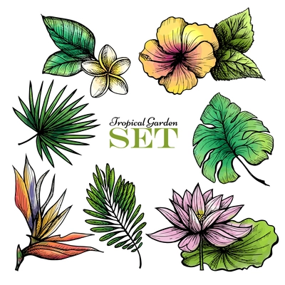 Tropical garden set of colored leaves and flowers isolated vector illustration