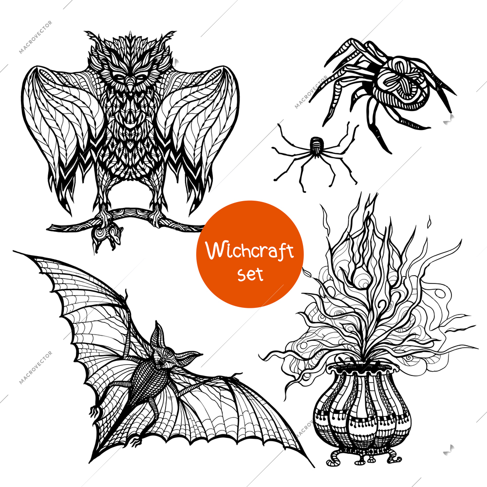 Witchcraft doodle set with hand drawn owl spider and pot isolated vector illustration