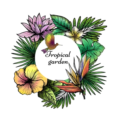 Tropical frame design with hand drawn birds and exotic flower leaves vector illustration