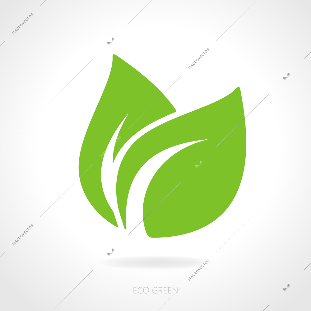 Eco green leaf concept vector illustration isolated