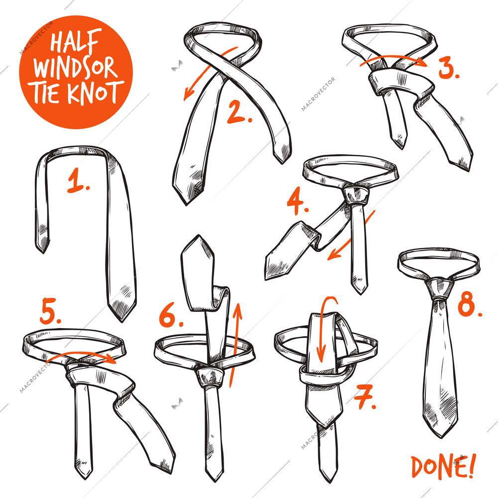 Half windsor knot tie making instructions sketch isolated vector illustration