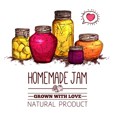 Homemade jam poster with hand drawn glass jars set vector illustration