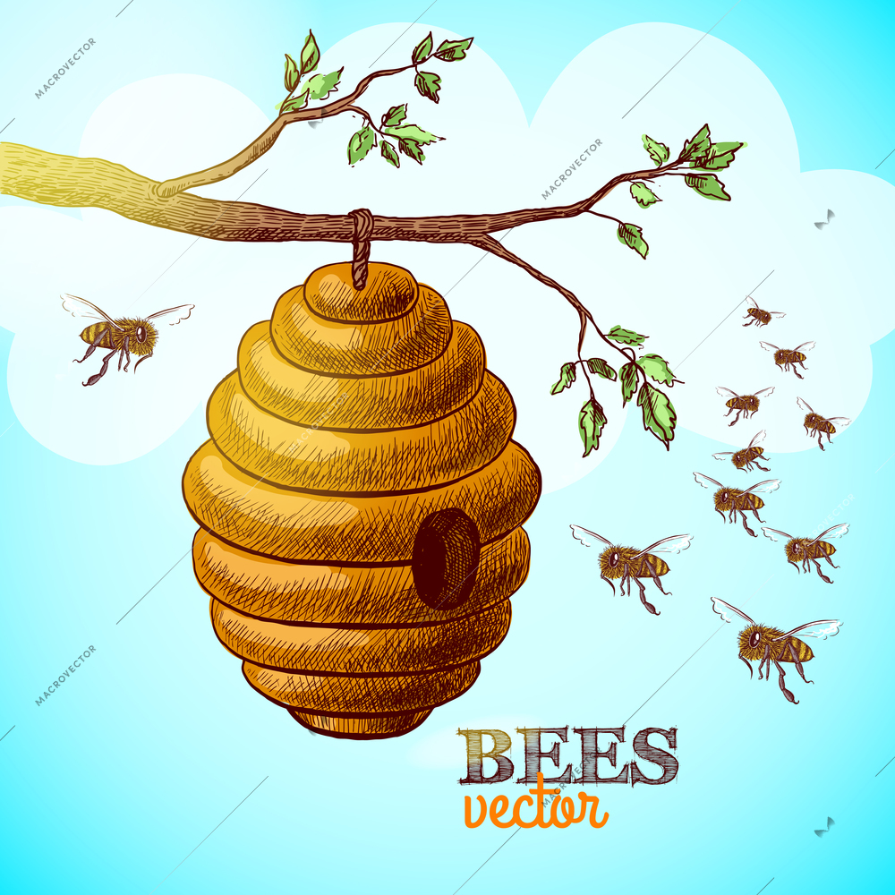 Honey bees and hive on tree branch background vector illustration