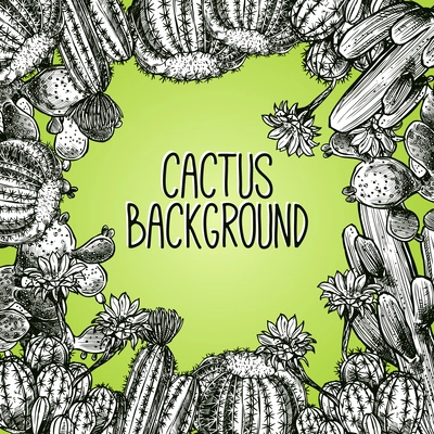 Black and white sketch cactus frame on green background vector illustration