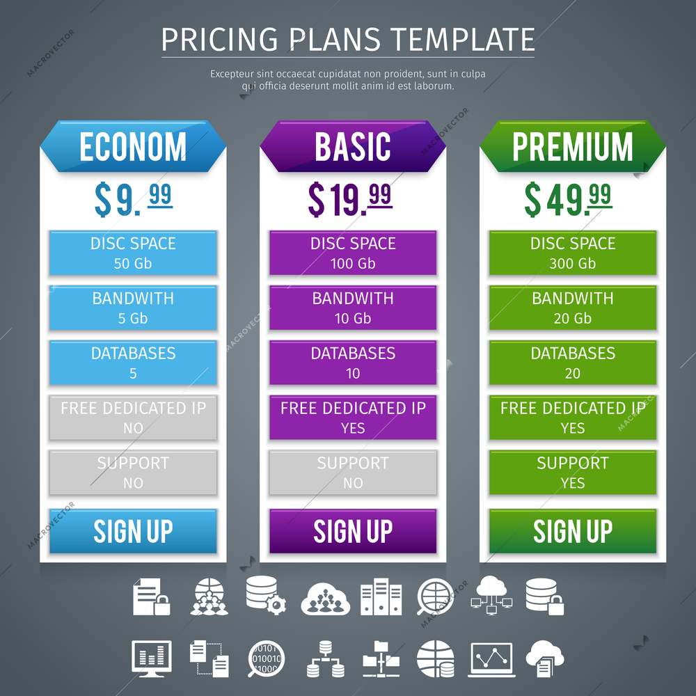 Software econom basic and premium pricing plans template on grey background flat vector illustration