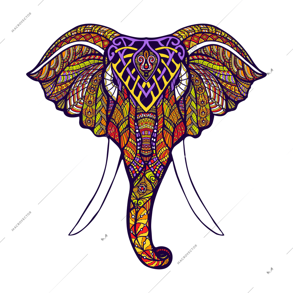 Front view elephant head with colored ornate hand drawn vector illustration