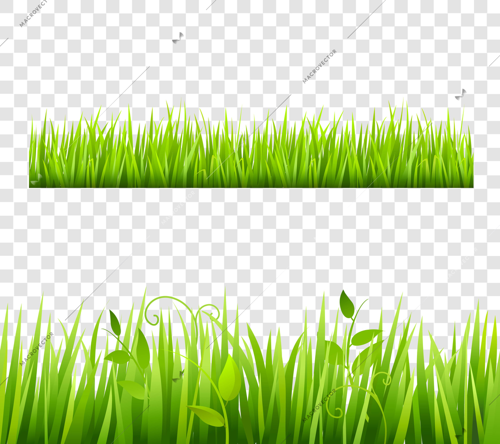 Green and bright grass border tileable transparent with plants flat isolated  vector illustration