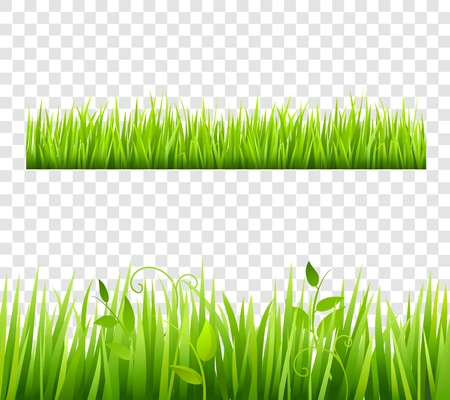 Green and bright grass border tileable transparent with plants flat isolated  vector illustration