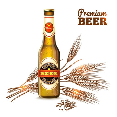 Beer concept with realistic bottle and sketch wheat ears on background vector illustration