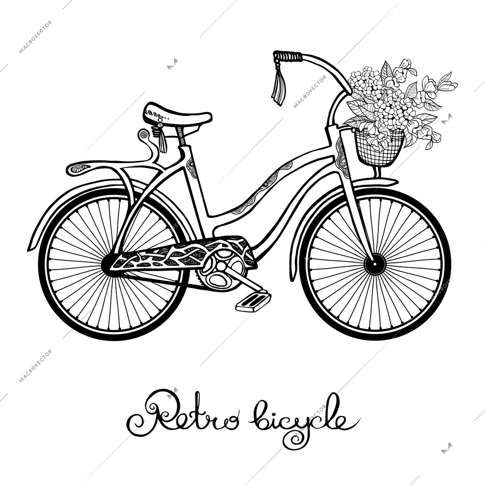 Hand drawn retro bicycle with flower basket isolated on white background vector illustration