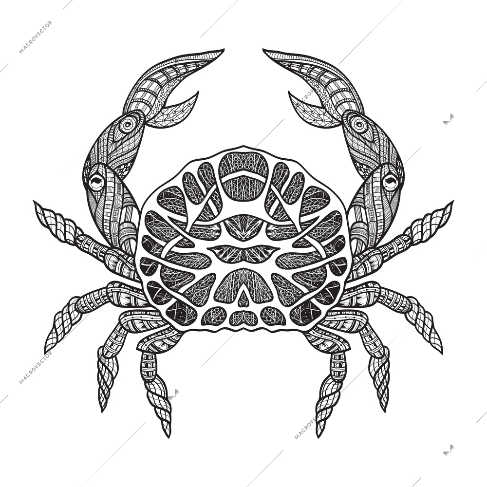 Ocean shallow water and sea sand beach crab decorative poster doodle style black line abstract vector illustration