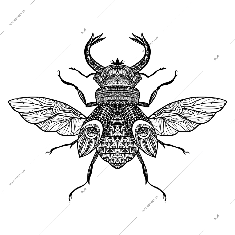 Sketch decorative bug with hand drawn ornament black vector illustration