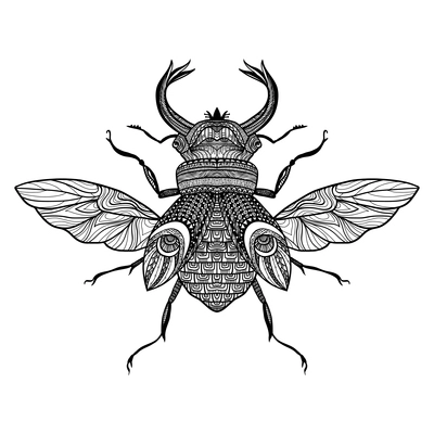 Sketch decorative bug with hand drawn ornament black vector illustration