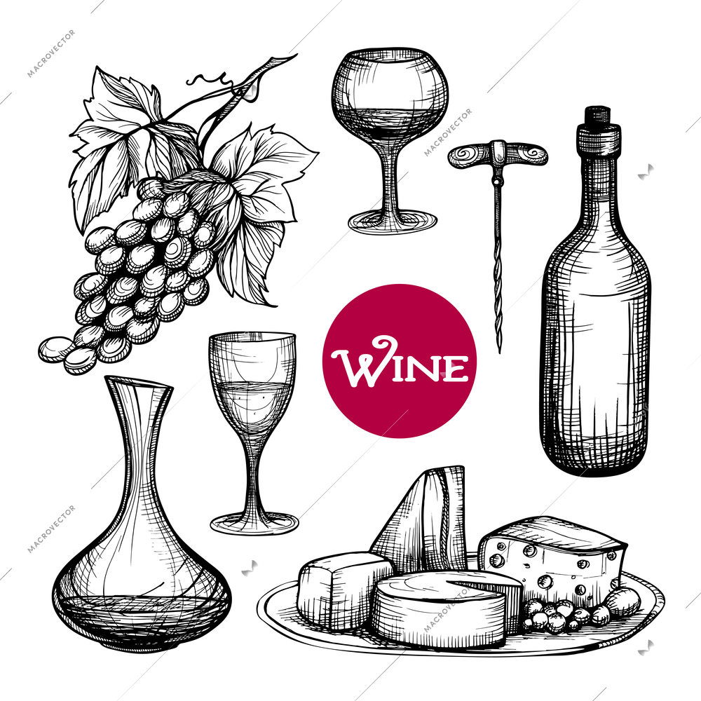 Hand drawn wine set with grape branch drink bottle cheese isolated vector illustration