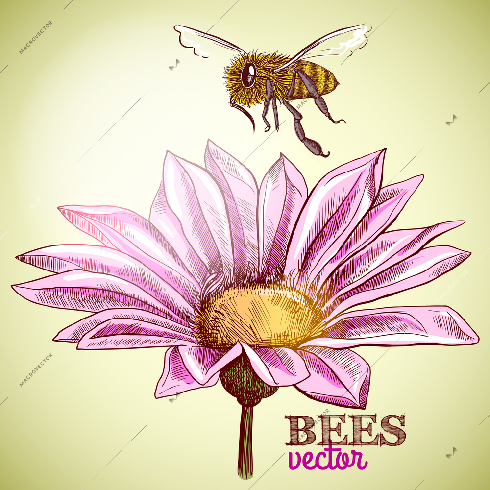 Flying honey bee and blossoming flower background vector illustration