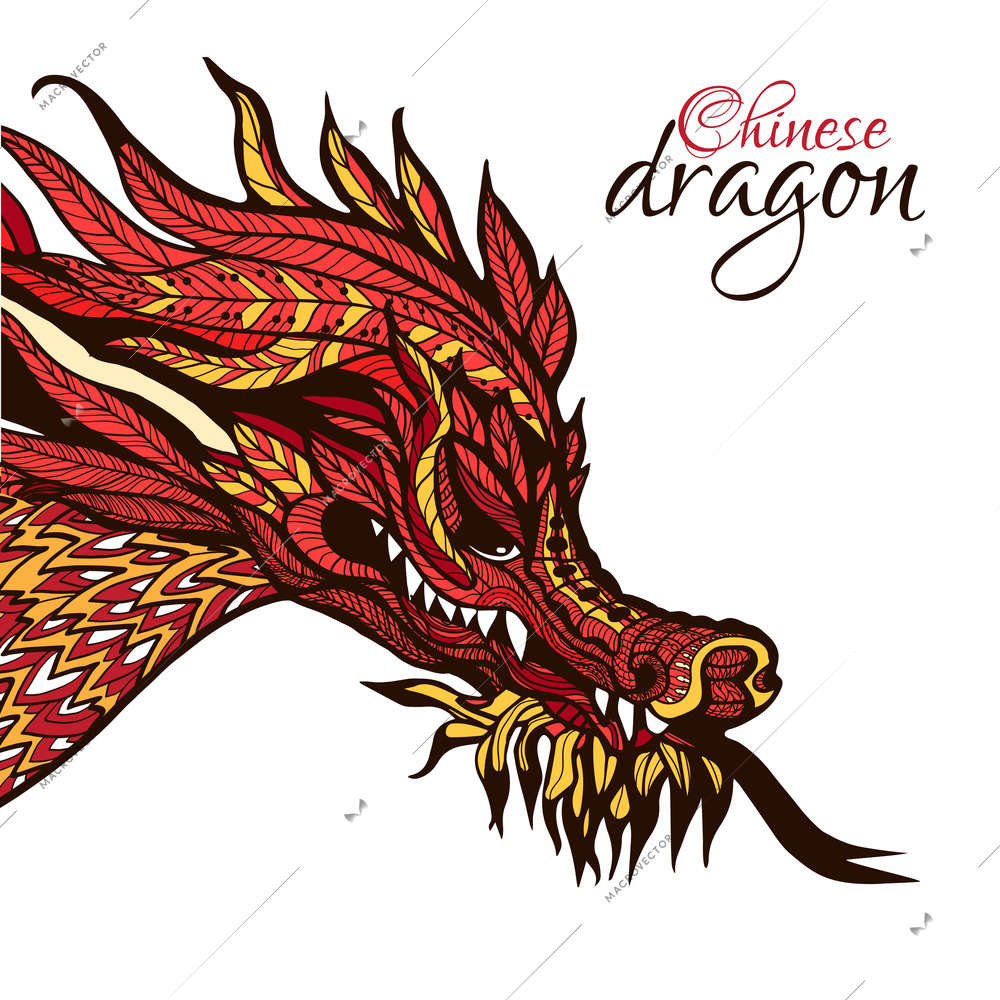 Hand drawn chinese dragon head with colored ornament vector illustration