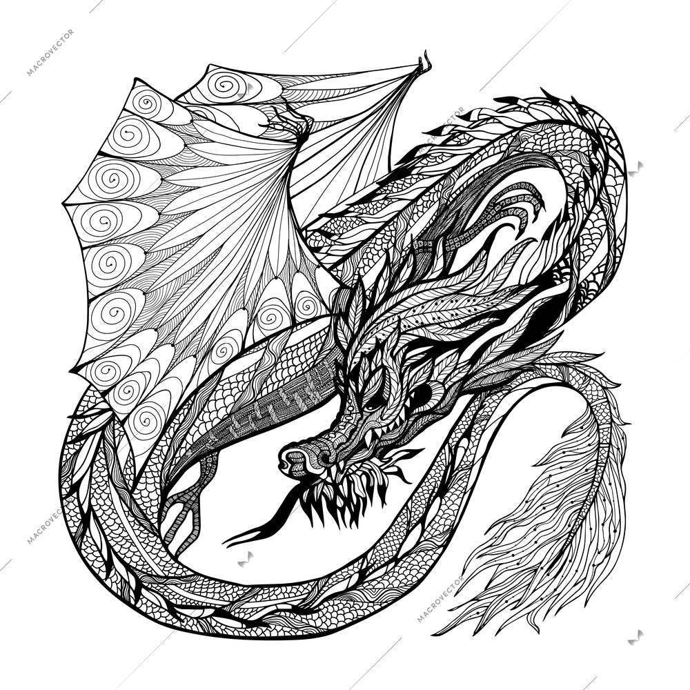 Wild ancient black sketch dragon with decorative ornament vector illustration