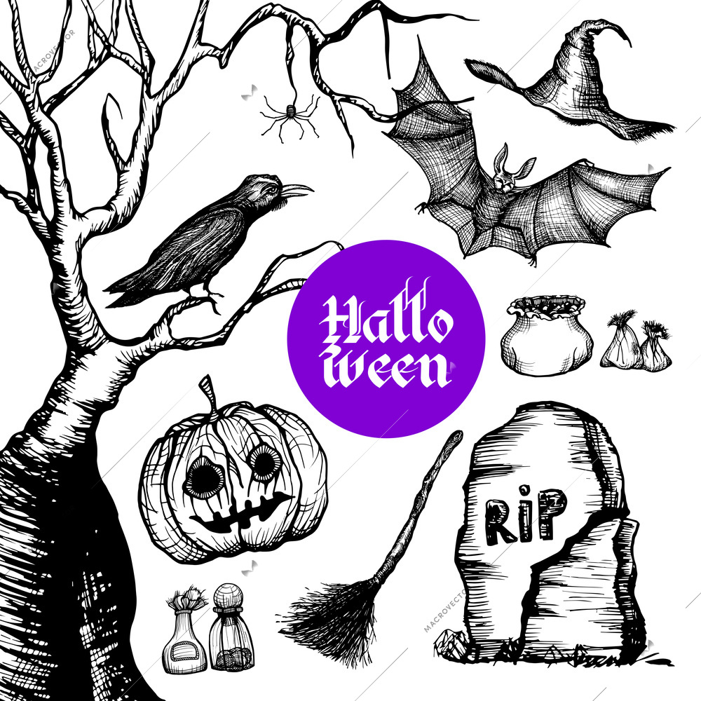 Halloween hand drawn set with pumpkin bat witch hat isolated vector illustration