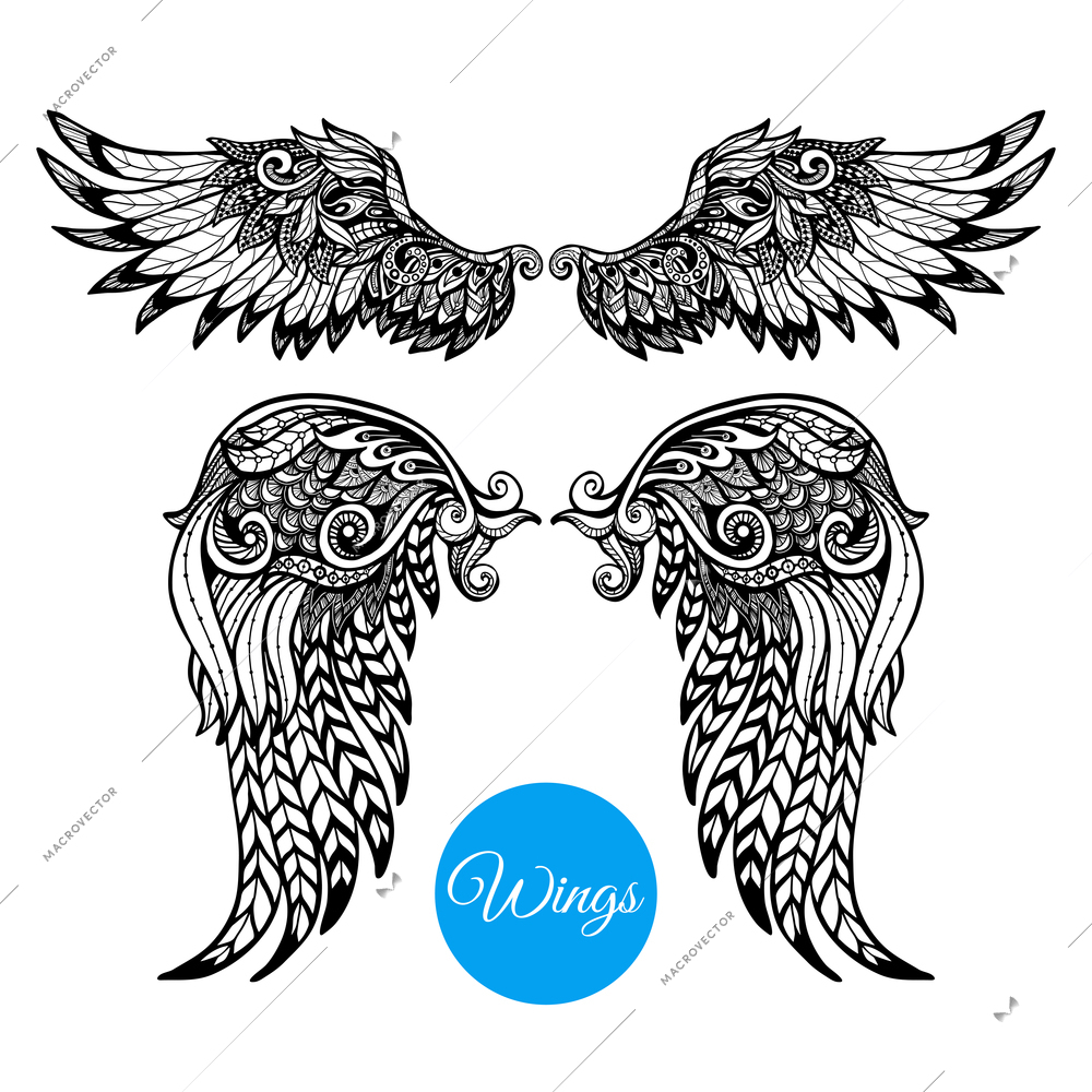 Decorative wings set with hand drawn ornamental feathers isolated vector illustration