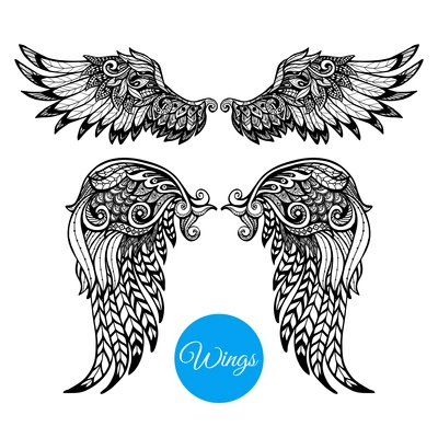 Decorative wings set with hand drawn ornamental feathers isolated vector illustration