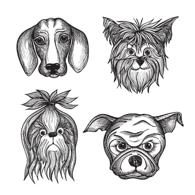 Hand drawn dog faces set with dachshund bulldog and terrier isolated vector illustration