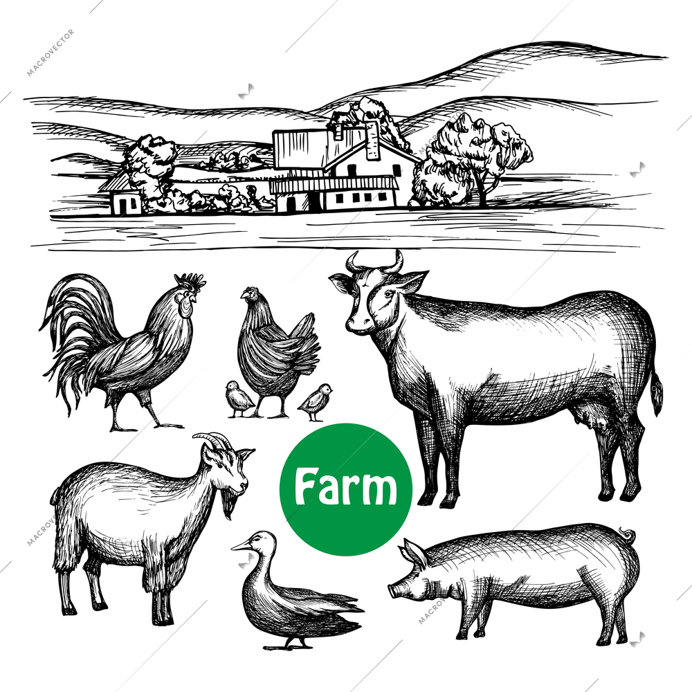 Hand drawn farm set with village house and livestock animals isolated vector illustration