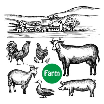 Hand drawn farm set with village house and livestock animals isolated vector illustration