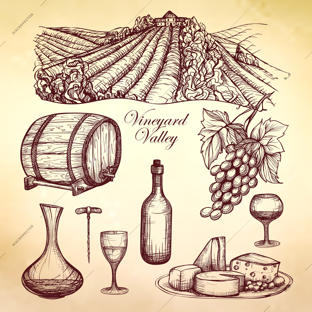 Wine sketch collection with barrel drink glass and bottle isolated vector illustration