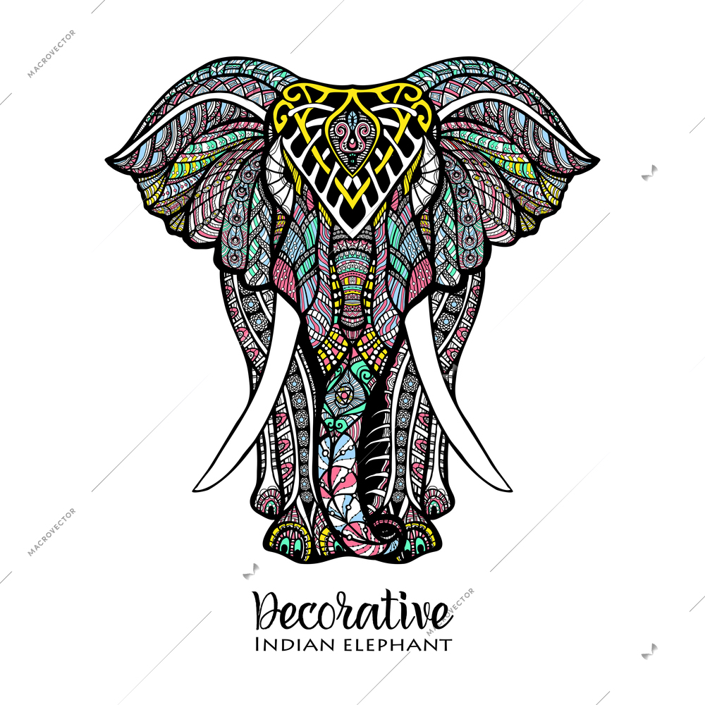Hand drawn front view elephant with colored ornament vector illustration