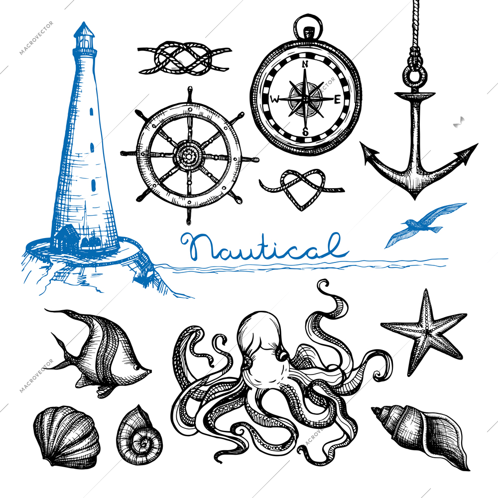 Nautical symbols and sea life hand drawn set isolated vector illustration