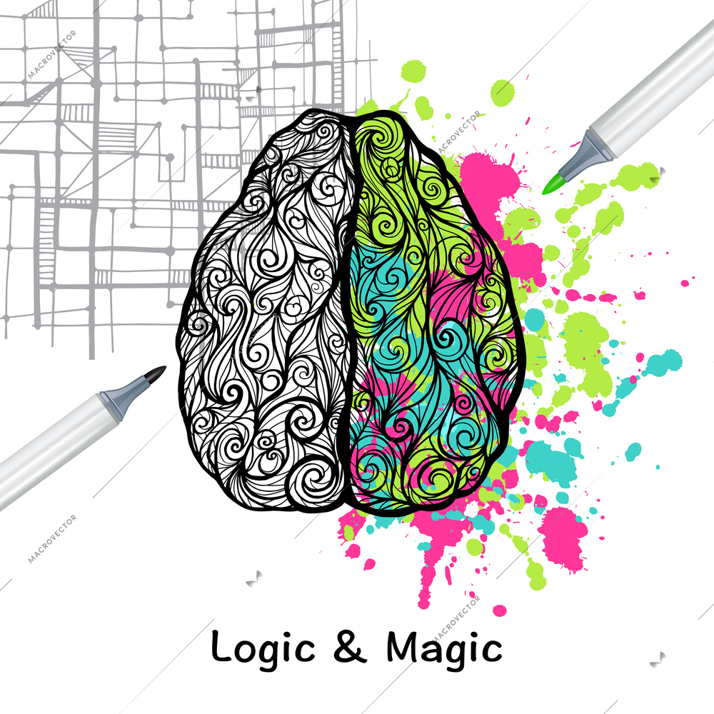 Hand drawn human brain with left logic and right creative hemispheres vector illustration