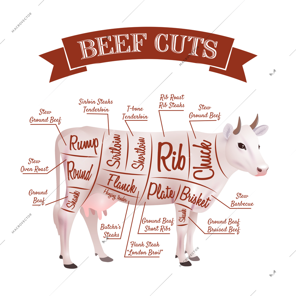 Beef cuts concept with realistic cow with parts scheme vector illustration