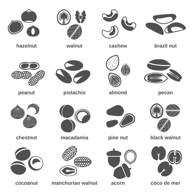 Nut icons black set with brazil peanut pistachio walnut isolated vector illustration