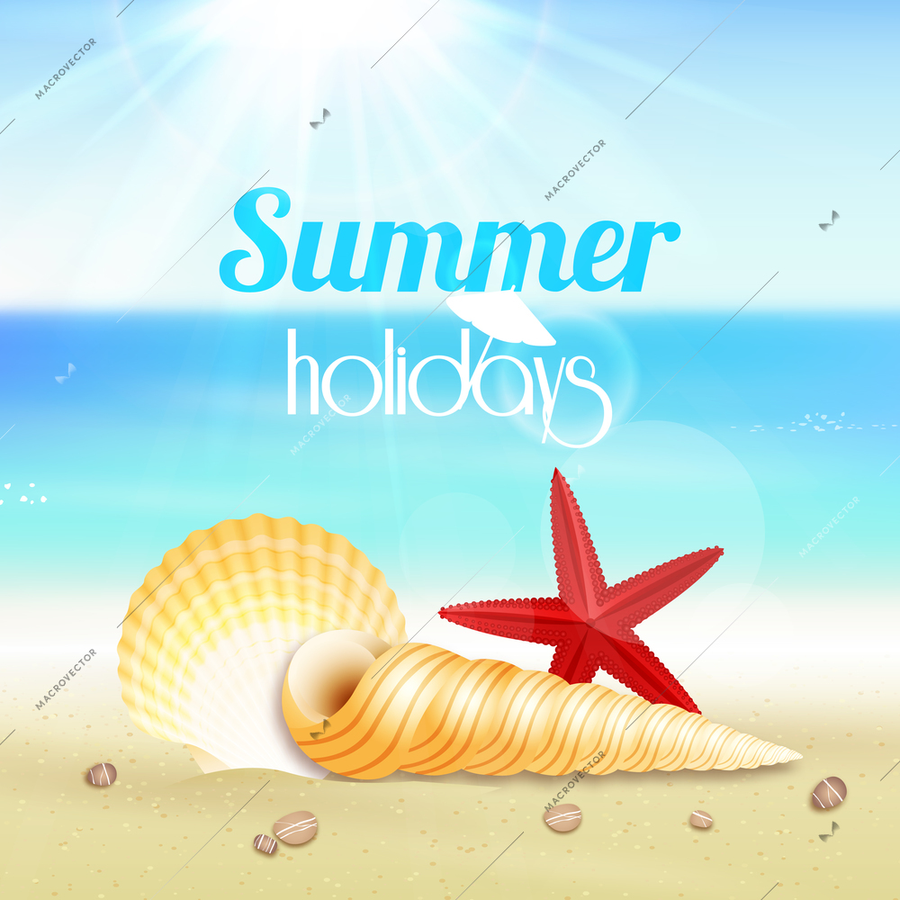 Summer holiday vacation travel background poster with seascape starfish and seashells vector illustration