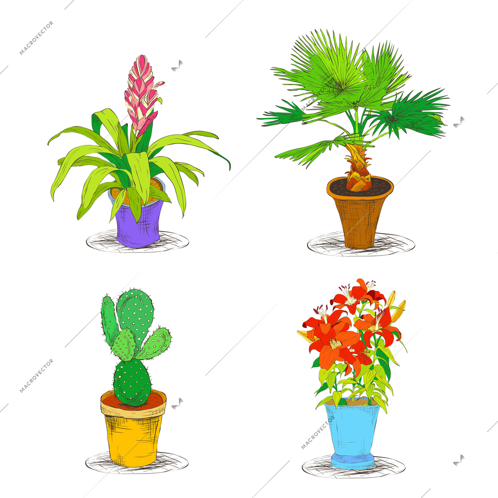 Decorative office interior flower palm cactus plant icons set isolated sketch vector illustration