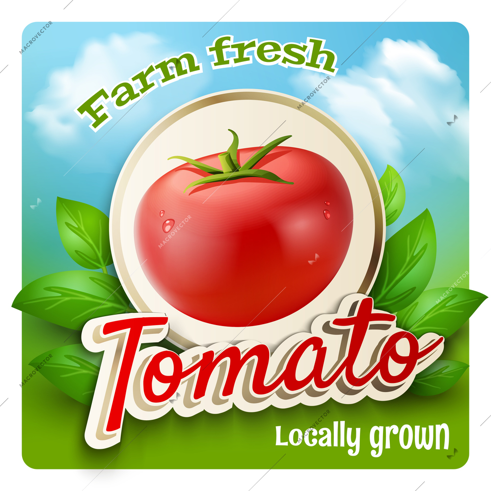 Farm market promo poster with realistic tomato and green leaves on background vector illustration