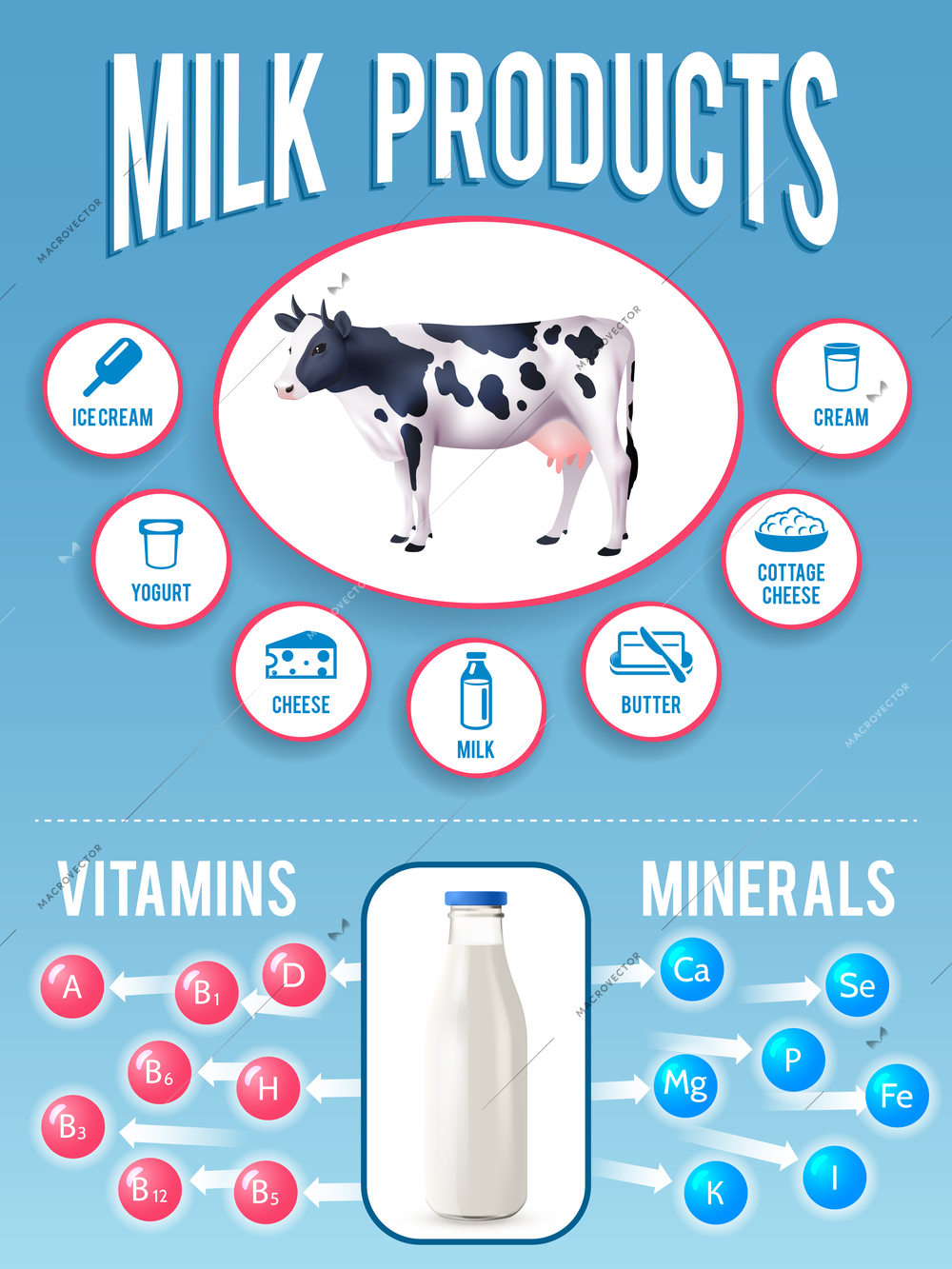 Milk infographics set with dairy products and cow picture vector illustration