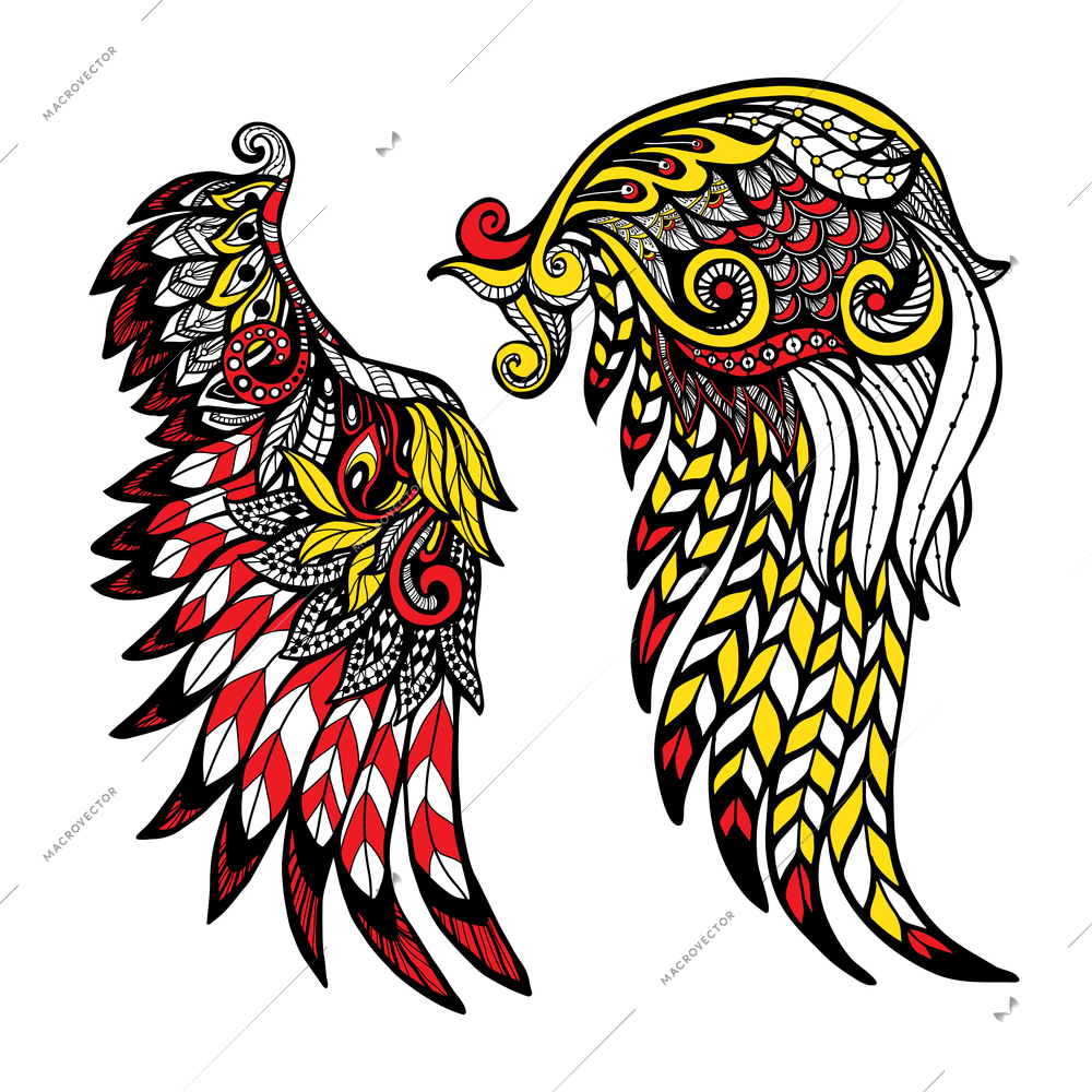 Hand drawn colored wings set with decorative feathers isolated vector illustration