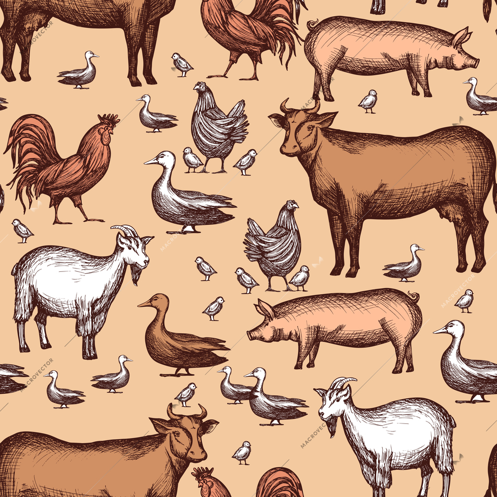 Farm seamless pattern with domestic animals hand drawn vector illustration