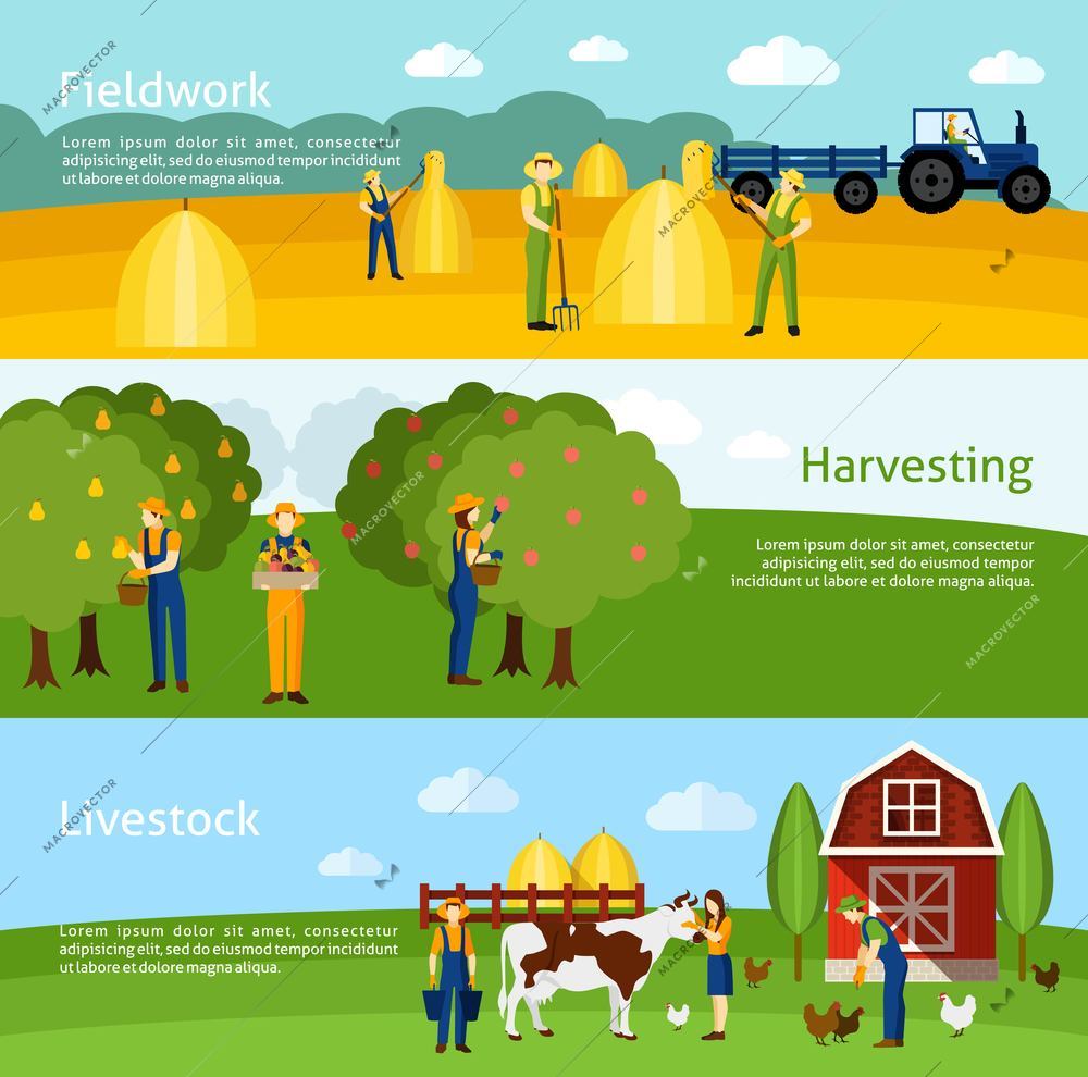 Hay harvesting fieldwork and domestic animals breeding farming 3 flat horizontal banners set abstract isolated vector illustration