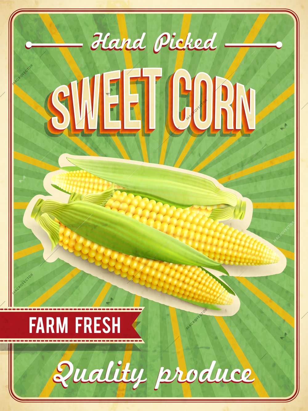 Sweet farm fresh corn poster with corn-cobs realistic vector illustration