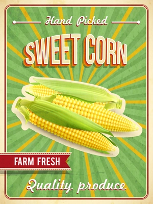 Sweet farm fresh corn poster with corn-cobs realistic vector illustration