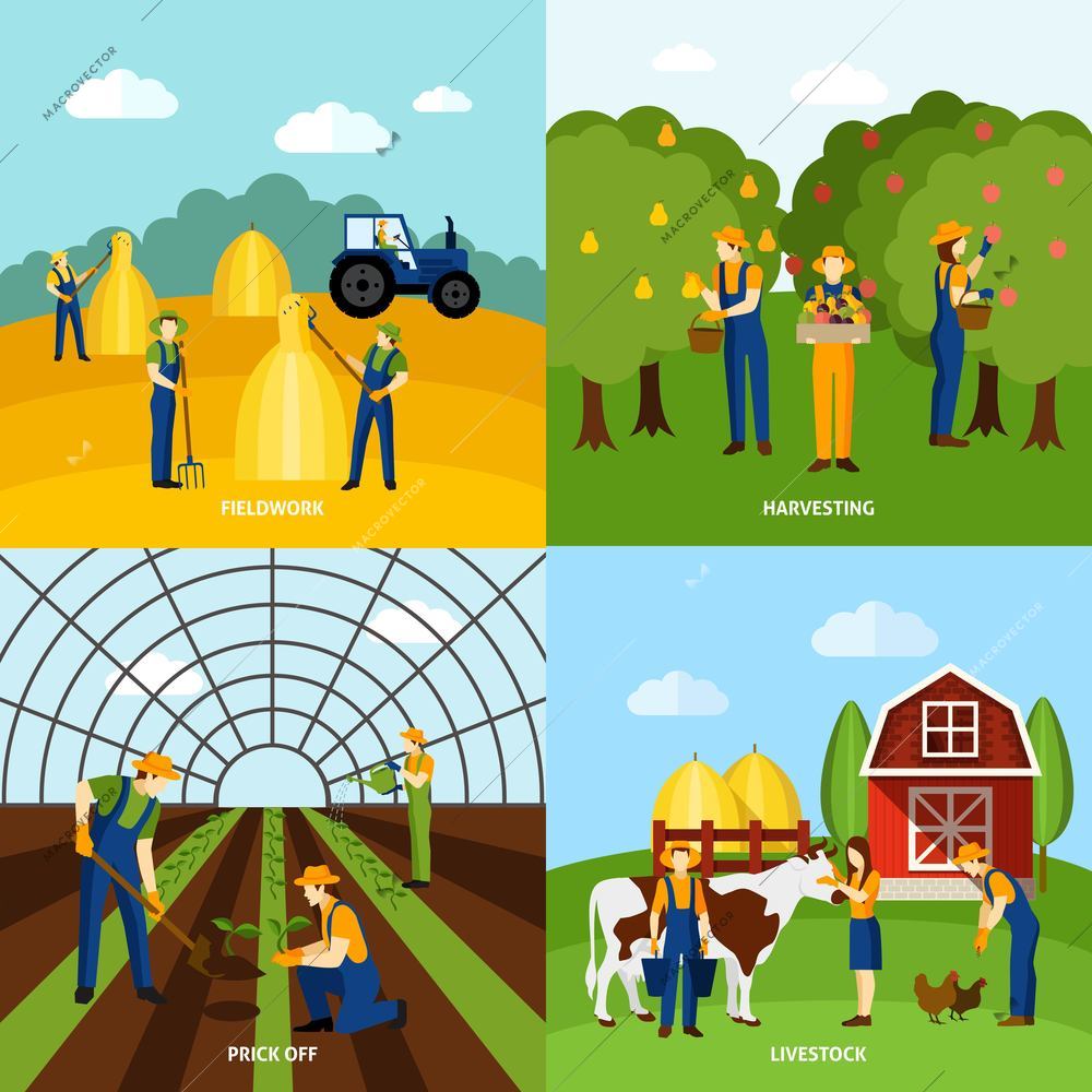 Farming crop agriculture and domestic animals raising 4 flat icons composition square poster abstract isolated vector illustration