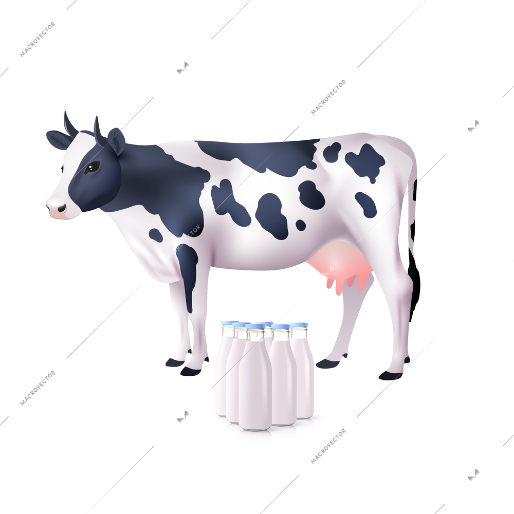 Realistic white and black spotted cow with milk bottles set vector illustration