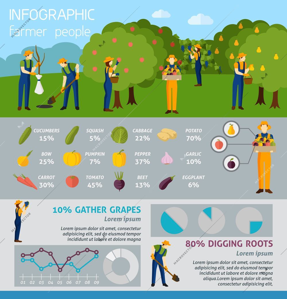 Infographic people working in garden and farm percent products flat  vector illustration